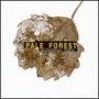 PALE FOREST