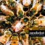 PARADISE LOST