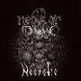 NEBULAR MYSTIC NEBULAR MYSTIC