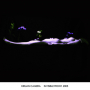 KIRLIAN CAMERA KIRLIAN CAMERA