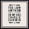LOW ANTHEM LOW ANTHEM