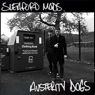 SLEAFORD MODS