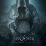 LOST IN GREY