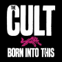 CULT