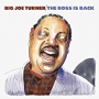 TURNER BIG JOE