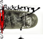 BUCKCHERRY