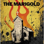 MARIGOLD MARIGOLD