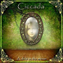 CICCADA