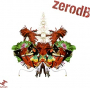 ZERO DB ZERO DB