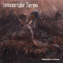 INNUMERABLE FORMS INNUMERABLE FORMS