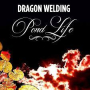 DRAGON WELDING