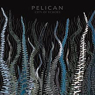 PELICAN
