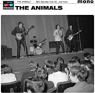ANIMALS