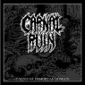 CARNAL RUIN