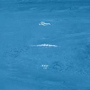 KAUAN