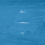 KAUAN