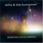 ECHO AND THE BUNNYMEN