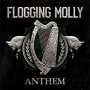 FLOGGING MOLLY