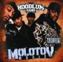 HOODLUM GANG