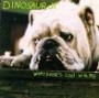 DINOSAUR JR