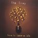 FRAY FRAY