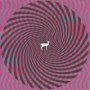 DEERHUNTER