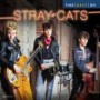 STRAY CATS