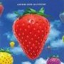 LIGHTNING SEEDS LIGHTNING SEEDS