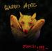GUANO APES