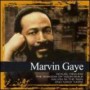 GAYE MARVIN