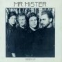MR. MISTER MR. MISTER
