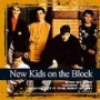 NEW KIDS ON THE BLOCK