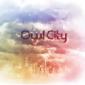 OWL CITY