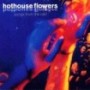 HOTHOUSE FLOWERS
