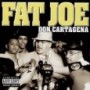 FAT JOE