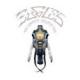 EAGLES