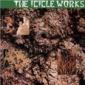 ICICLE WORKS ICICLE WORKS