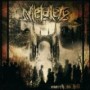 METALETY