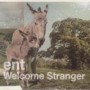 ENT