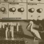 MERZBOW