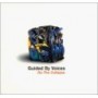 GUIDED BY VOICES GUIDED BY VOICES