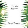 BIRD SHOW