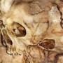 DECEIVER
