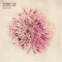 EMAROSA