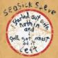 SEASICK STEVE