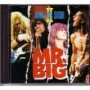 MR. BIG MR. BIG