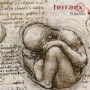 TERRAEX