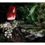 PERSEPHONE PERSEPHONE