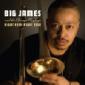 BIG JAMES & CHICAGO BLUES BIG JAMES & CHICAGO BLUES