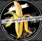 DANDY WARHOLS